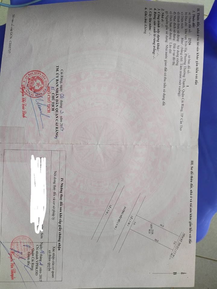 Đất cây lâu năm 1000m² Trương Vĩnh Nguyên giá 1.39 tỷ - Đầu tư sinh lời ngay!