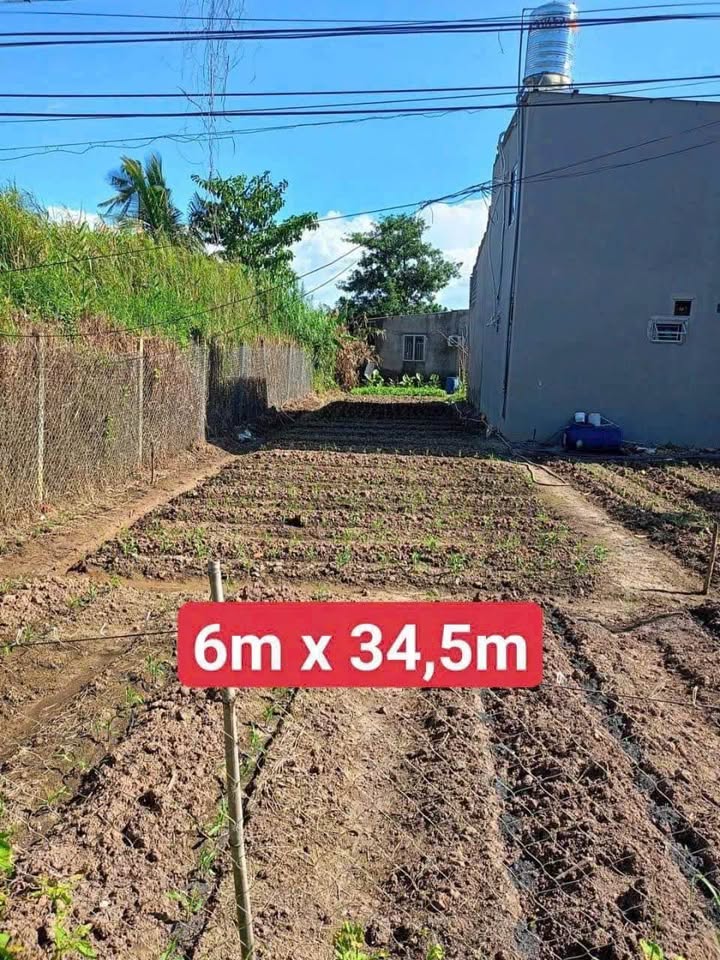 Đất vườn 207m² Nguyễn Thị Tạo, Cần Thơ giá 1.59 tỷ - Hỗ trợ ngân hàng 1.1 tỷ!