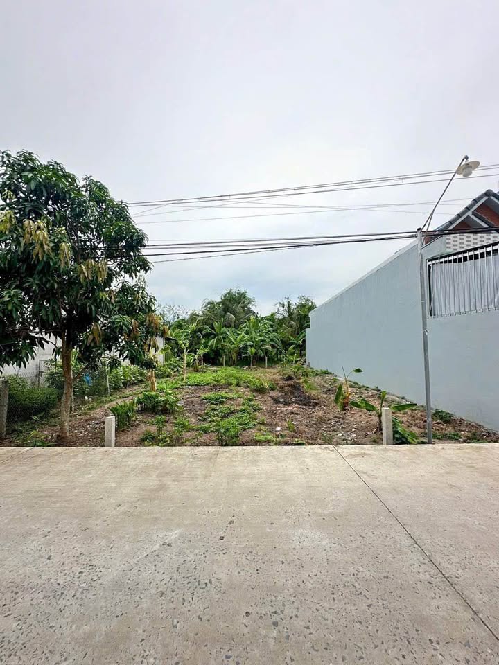 Đất thổ cư Rạch xẻo Da Thường Thạnh 92m² giá 800 triệu - Sổ hồng chính chủ!