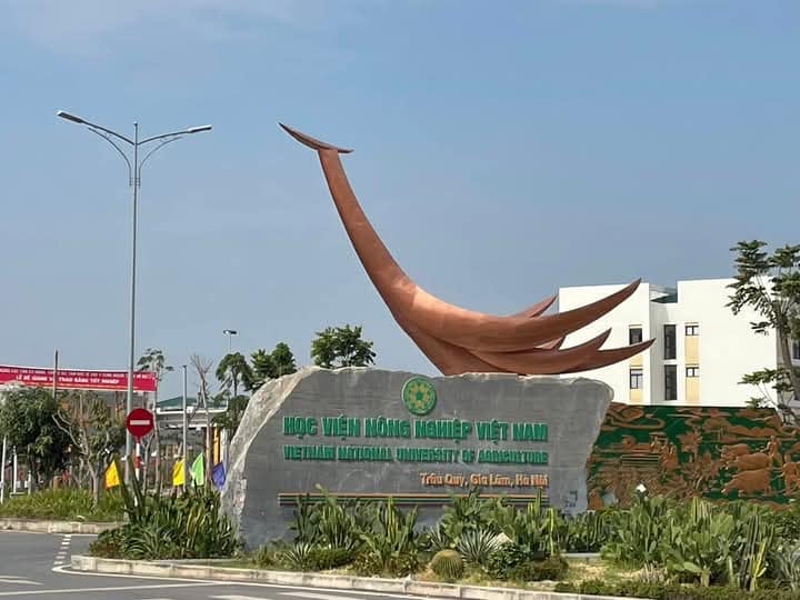 Đất nền trung tâm thị trấn Trâu Quỳ 55m² giá 10.45 tỷ - Cơ hội đầu tư vàng!