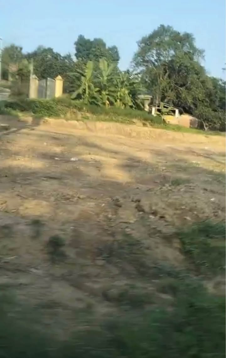 Đất nền xã Phú Lộc, huyện Phù Ninh 160m² giá 500 triệu - Cơ hội đầu tư tuyệt vời!