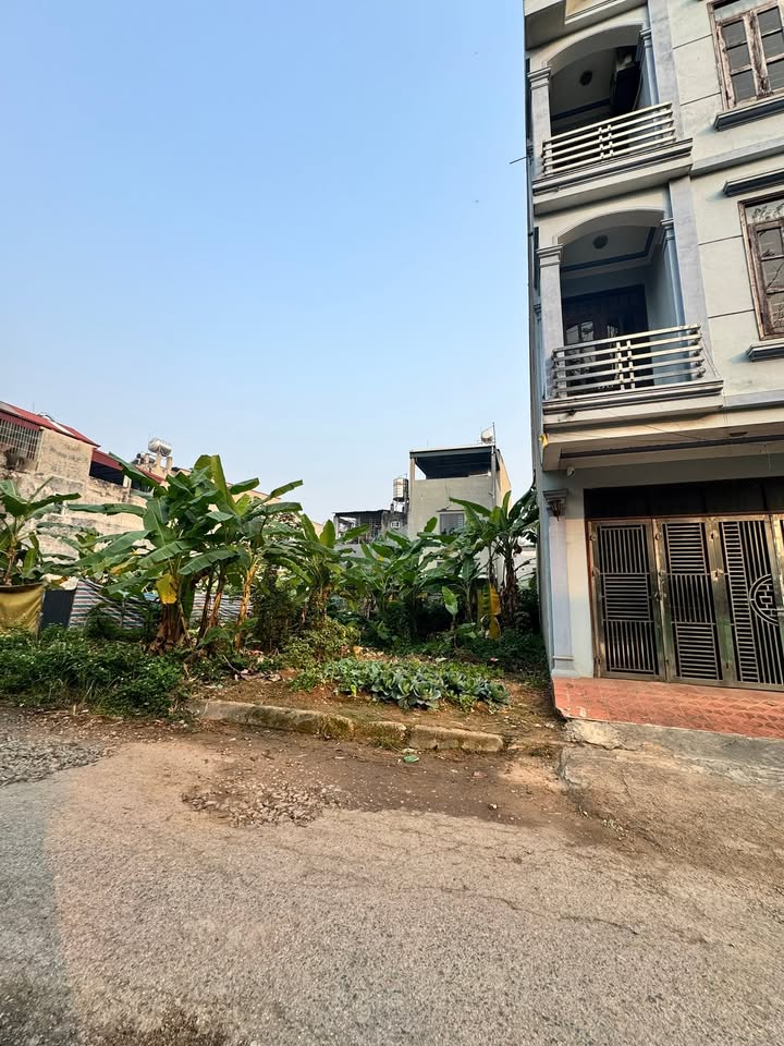 Đất nền Đông Nam Oasis City 77.5m² giá 3.x tỷ - Tiềm năng sinh lời cao!