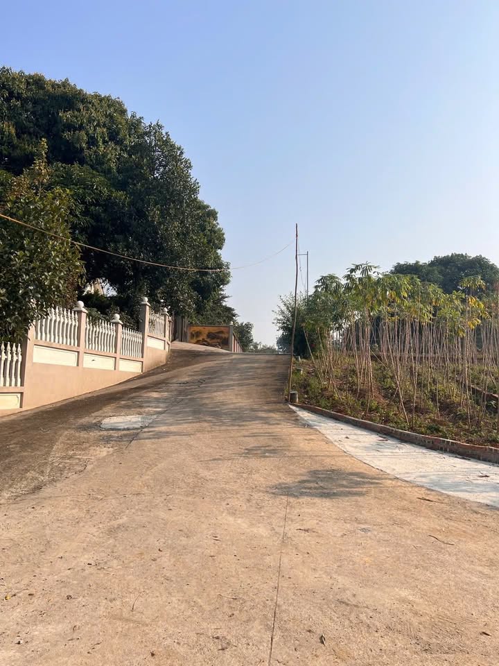 Đất 2 mặt tiền Khu 5 Thanh Đình, Việt Trì 96.8m² chỉ 1 tỷ - Cơ hội đầu tư tuyệt vời!