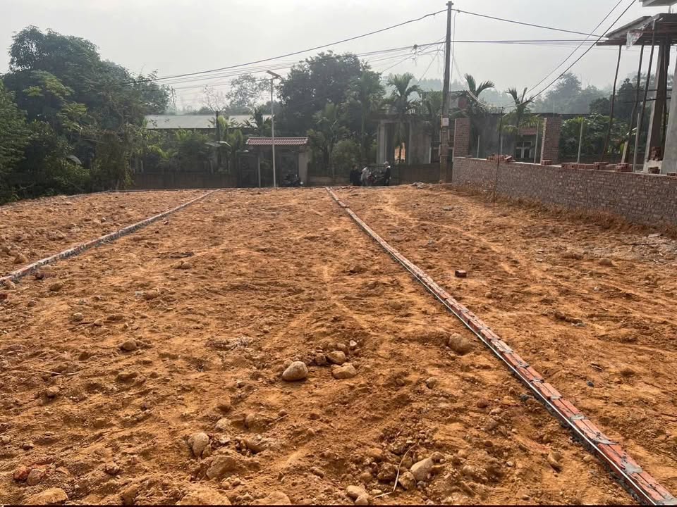 Đất nền HL47B, Sai Nga, Cẩm Khê, 115m² giá 690 triệu - Kinh doanh đắc địa!