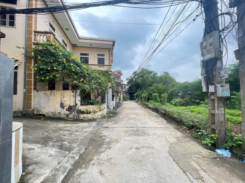 Đất khu 14, Thanh Miếu, Việt Trì 69m² giá 1.6 tỷ - Chính chủ bán gấp!