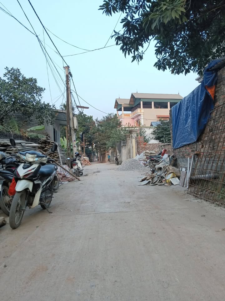 Đất bán Phù Lưu Tế, Mỹ Đức, Hà Nội 100m² - Đường ô tô tránh thoải mái!