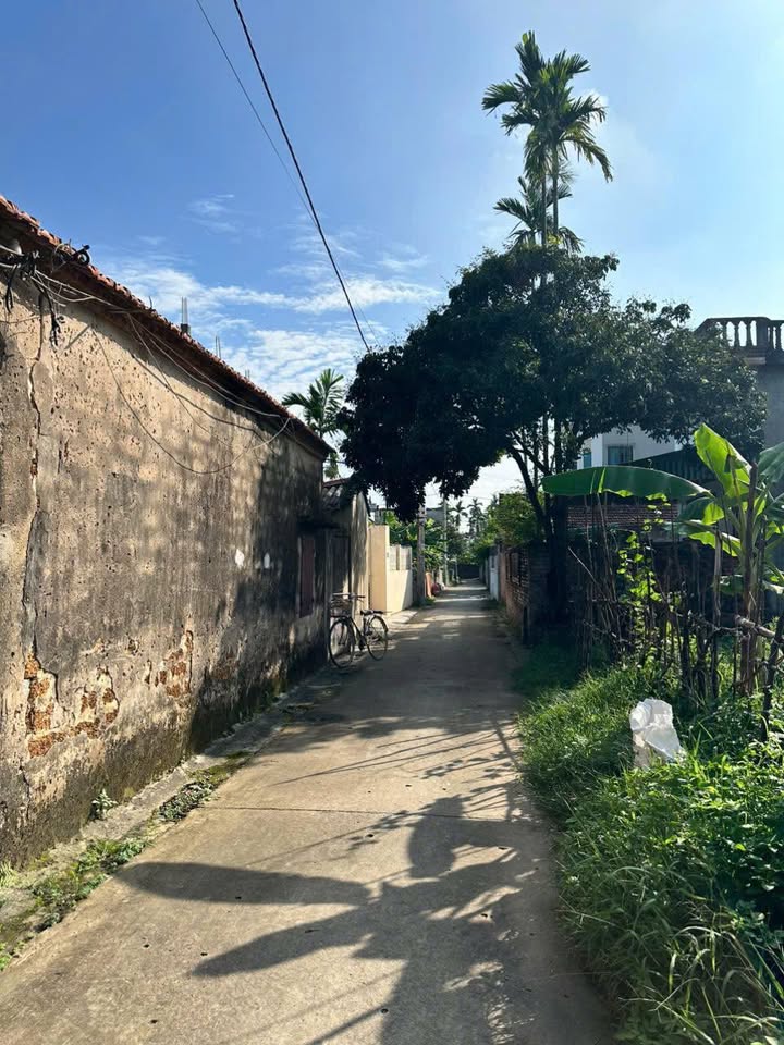 Đất nền Thị trấn Vân Đình 104m² giá 1.04 tỷ - Chính chủ cần bán gấp!