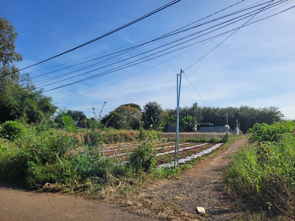 Nhà mặt tiền đường 28 Hòa Long, Bà Rịa - 181m² chỉ 1.4 tỷ - Cơ hội đầu tư hấp dẫn!