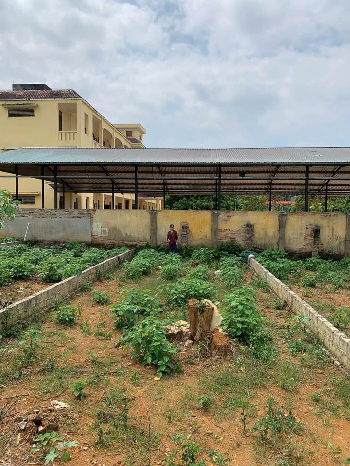 Đất nền xã Mai Sơn, 825m² giá 2 tỷ - Cơ hội đầu tư tuyệt vời!