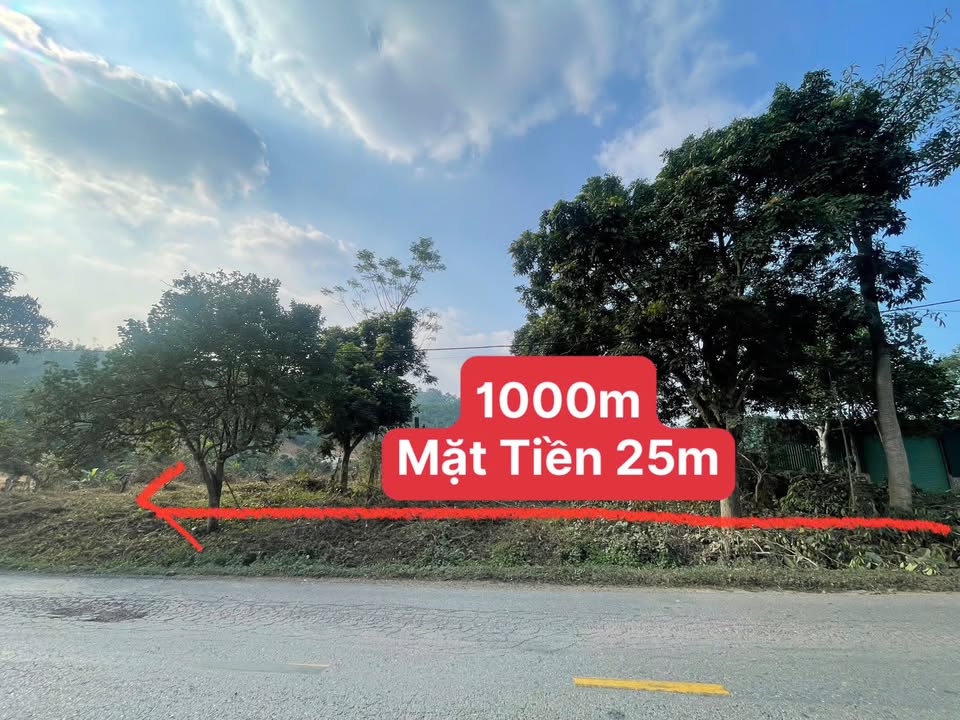 Đất thổ cư 1000m² mặt đường Hoàng Hoa Thám - Phúc Yên chỉ 8 tỷ - Vị trí kinh doanh đắc địa!