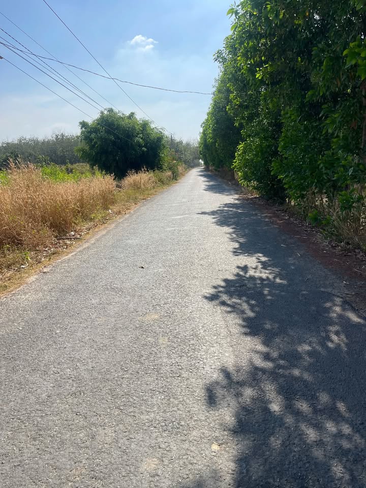 Đất nền 6,3 mẫu mặt tiền đường nhựa Tân Lập - Giá chỉ 8.19 tỷ