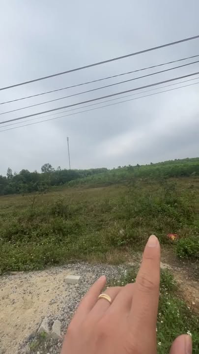 Đất đấu giá Quỳnh Châu 300m² giá chỉ 1 tỷ - Cơ hội đầu tư sinh lời!