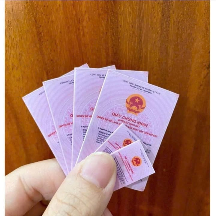 Căn hộ chung cư Bình Phú, Quận 6, 56.4m² giá 2.35 tỷ - Sổ hồng lâu dài, ngân hàng hỗ trợ!