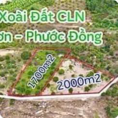 Đất CLN Phước Sơn, Nha Trang 3700m² giá 2.5 tỷ - Đường ô tô tận nơi!