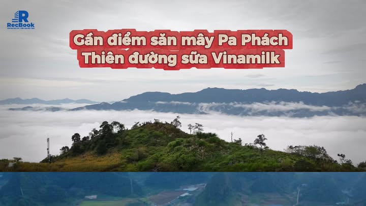 Đất nền Mộc Châu 2.500m² giá chỉ 4 tỷ - Tiềm năng đầu tư hấp dẫn!