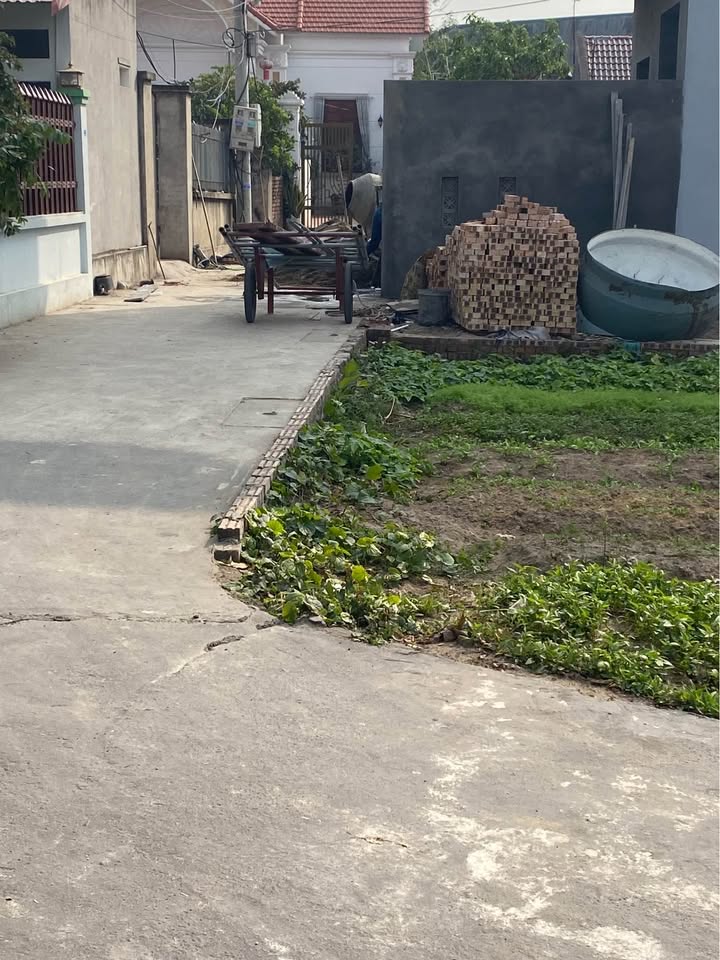 Đất nền Xuân Lê 90m² giá 2.3 tỷ - Đường ô tô vào tận nơi!