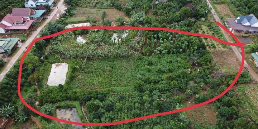 Đất nghỉ dưỡng B'LÁ BẢO LÂM 200m² giá 1.95 tỷ - View rừng thông mát mẻ