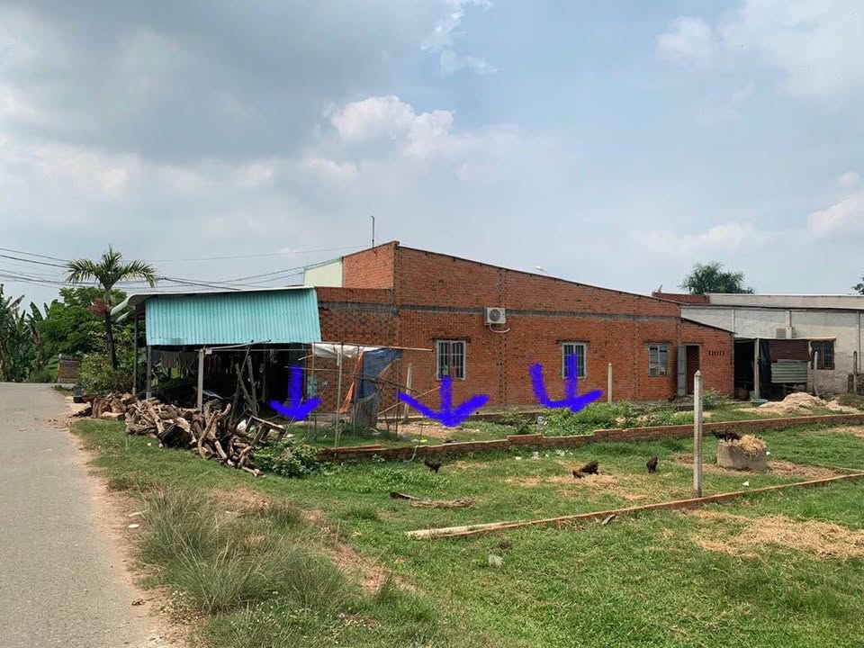 Đất thổ cư 125m² xã Trung Lập Hạ giá 1.59 tỷ - Chủ bán lỗ gấp!