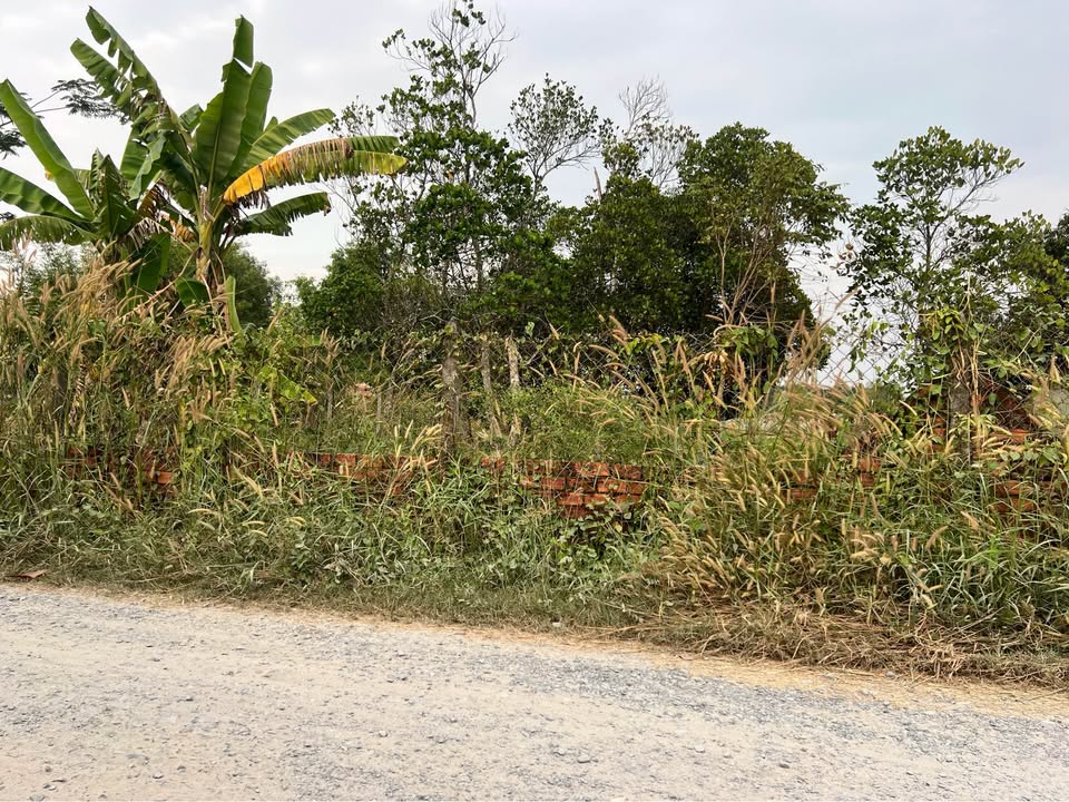 Đất nền xã Đức Hòa Thượng, huyện Đức Hòa, 1100m² giá 8xx triệu - Sổ hồng riêng, pháp lý rõ ràng!