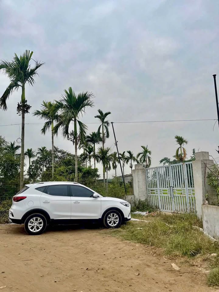 Trang trại nhà vườn 20.000m² phố Lê Thiện, An Dương - Giá chỉ 2 tỷ!