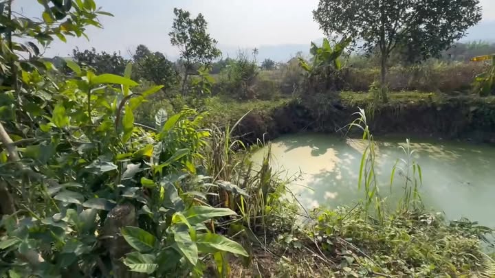 Đất nghỉ dưỡng 1.200m² tại Đồng Thịnh, Yên Lập, giá 880 triệu - Tiềm năng đầu tư lớn!