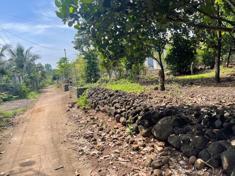 Đất nền 400m² xã Xuân Thọ, giá 3.4 tỷ - Sổ đỏ chính chủ, bán gấp!