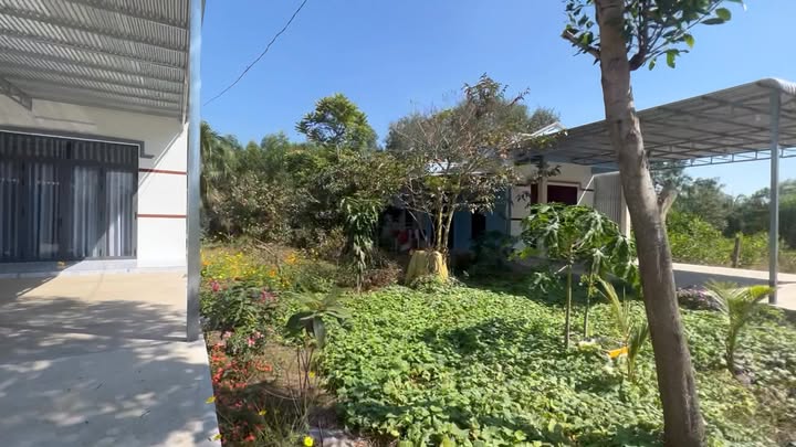 Đất thổ cư ấp 2, Xuân Hòa 63m² giá 700 triệu - Bán gấp, cơ hội đầu tư!