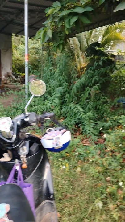 Đất nền Xuân Phú 1800m² giá 600 triệu - Sổ đỏ chính chủ, thương lượng ngay!