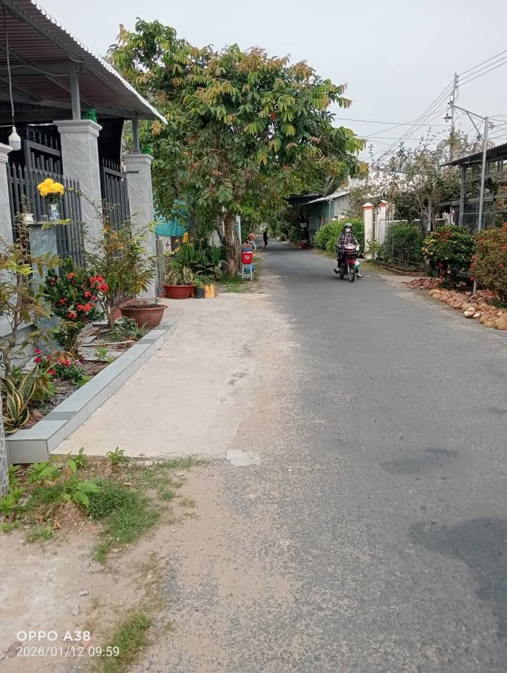 Nhà bán Tân Quới, Vĩnh Thạnh 300m² giá 2.299 tỷ - Sẵn sàng đón Tết!