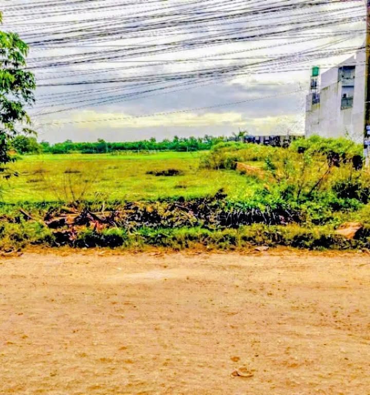 Kho xưởng sản xuất 1170m² tại Mỹ Hạnh, Đức Hòa - Giá tốt, pháp lý rõ ràng!