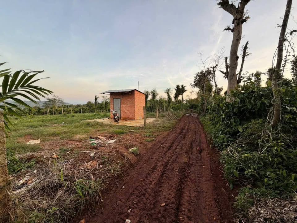 Đất nền xã Ea Hồ, huyện Krông Năng, Đắk Lắk 6539m² - Pháp lý rõ ràng, giá tốt!