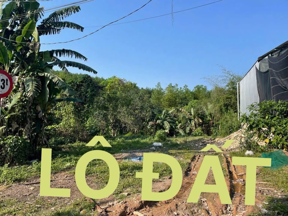 Đất mặt tiền Tỉnh lộ Thuỷ Bằng 678m² giá 3,2 tỷ - Đầu tư lâu dài giá trị tăng trưởng tốt!