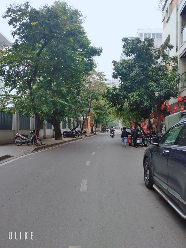 Nhà phố Trần Quang Diệu, Đống Đa 56m² giá 2X tỷ - Kinh doanh văn phòng tiện lợi!