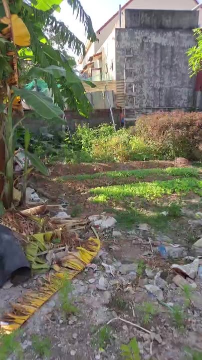 Đất nền 47.2m² Hòa Nghĩa Dương Kinh Hải Phòng - Cơ hội đầu tư tuyệt vời!