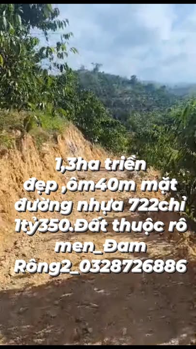 Đất nền 1,3ha mặt đường nhựa 722, xã Rô Men, Đam Rông - Giá chỉ 1,35 tỷ
