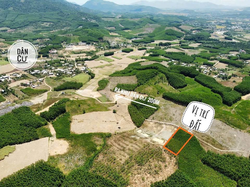 Đất vườn Diên Xuân 2000m² giá 550 triệu - Sổ đỏ chính chủ, gần chợ và dân cư!