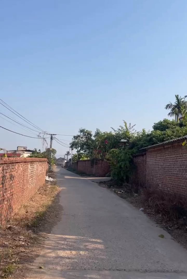 Đất nền Đông Phú, Lục Nam 1130m² giá 700 triệu - Đường thông các ngả!