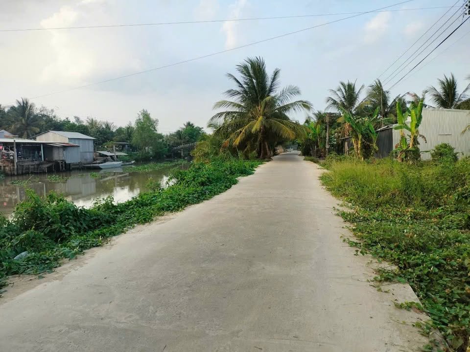 Đất thổ cư xã Thới Tân, huyện Thới Lai, 200m² giá 495 triệu - Sổ hồng riêng, ô tô vào tận nơi!