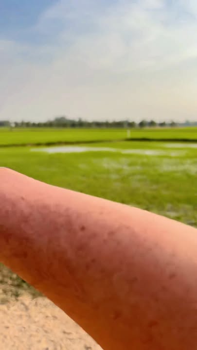 Đất mặt tiền 20m tại xã Tiên Thuận, huyện Bến Cầu, 360m² - Giá thỏa thuận hấp dẫn!