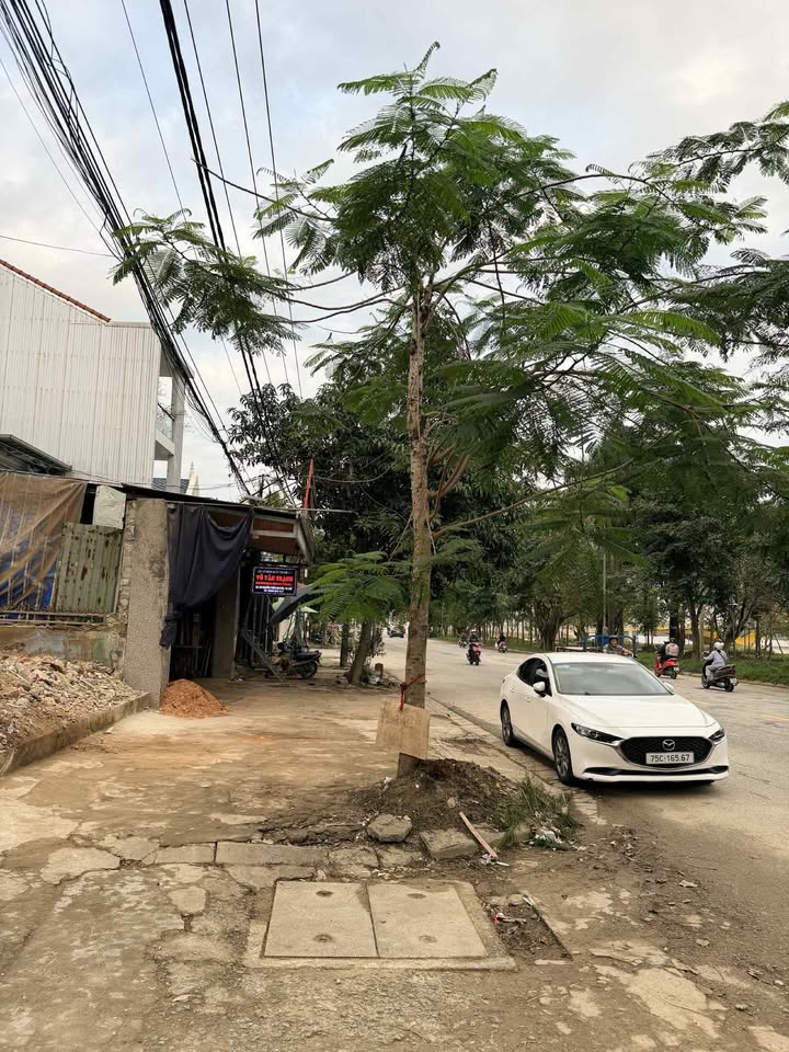 Đất hai mặt tiền đường Nguyễn Phúc Nguyên, 206m² giá 16 tỷ - Vị trí đắc địa cho đầu tư!