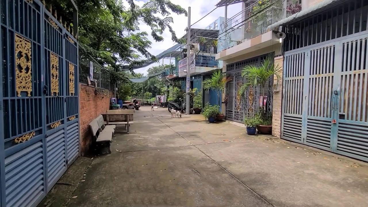 Nhà góc 2 mặt tiền Lạc Long Quân 47.12m² giá 6.6 tỷ - Tiềm năng phát triển cao!