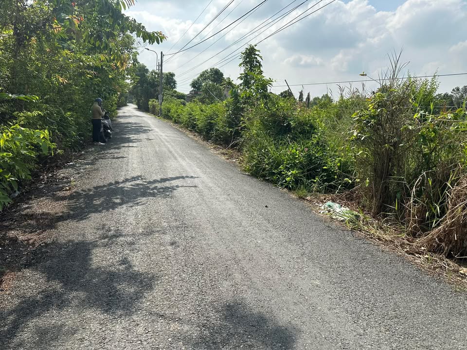 Đất thổ cư 300m² tại Mỹ Lộc, Cần Giuộc - Giá chỉ 2 tỷ, thương lượng!