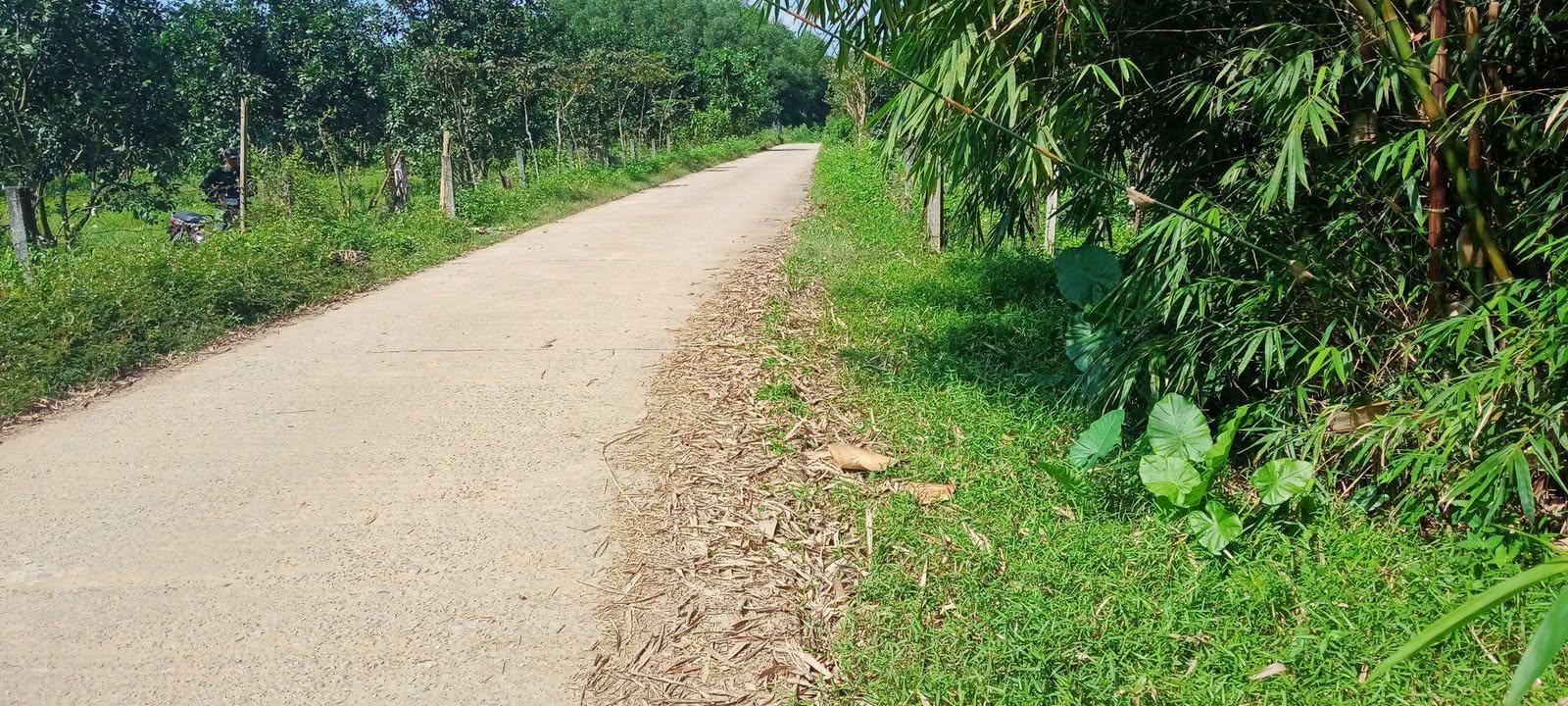 Đất nền Hòa Hương, Hương Thủy 2500m² giá 400 triệu - Hướng sông thơ mộng!