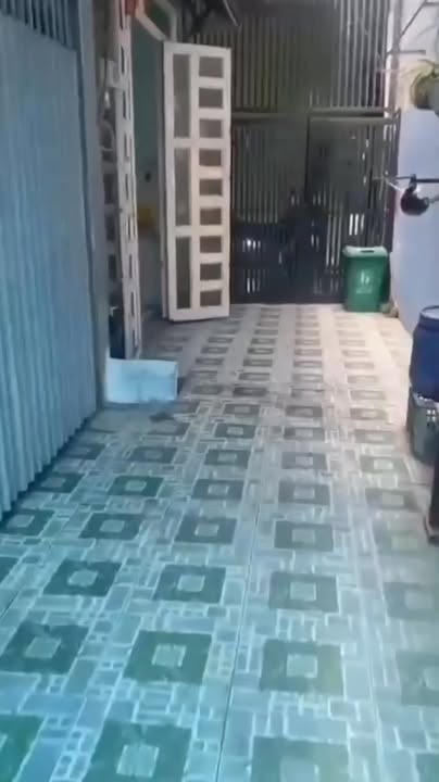 Nhà bán tại Tân Xuân, Hóc Môn 32m² giá 1.48 tỷ - Vị trí đẹp, pháp lý rõ ràng!