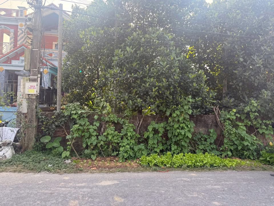 Đất nền Quỳnh Hồng 127.5m² giá 1.4 tỷ - Mặt tiền đường tỉnh DT452