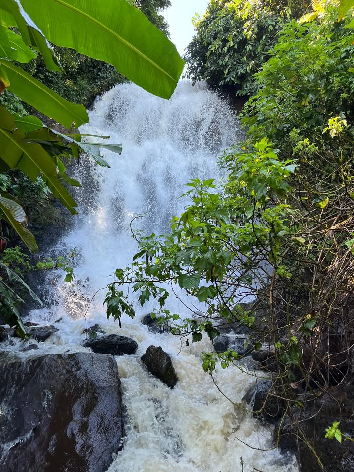 Đất nền nghỉ dưỡng tại xã Bảo Thuận, huyện Di Linh 1ha - Tiềm năng đầu tư lớn!