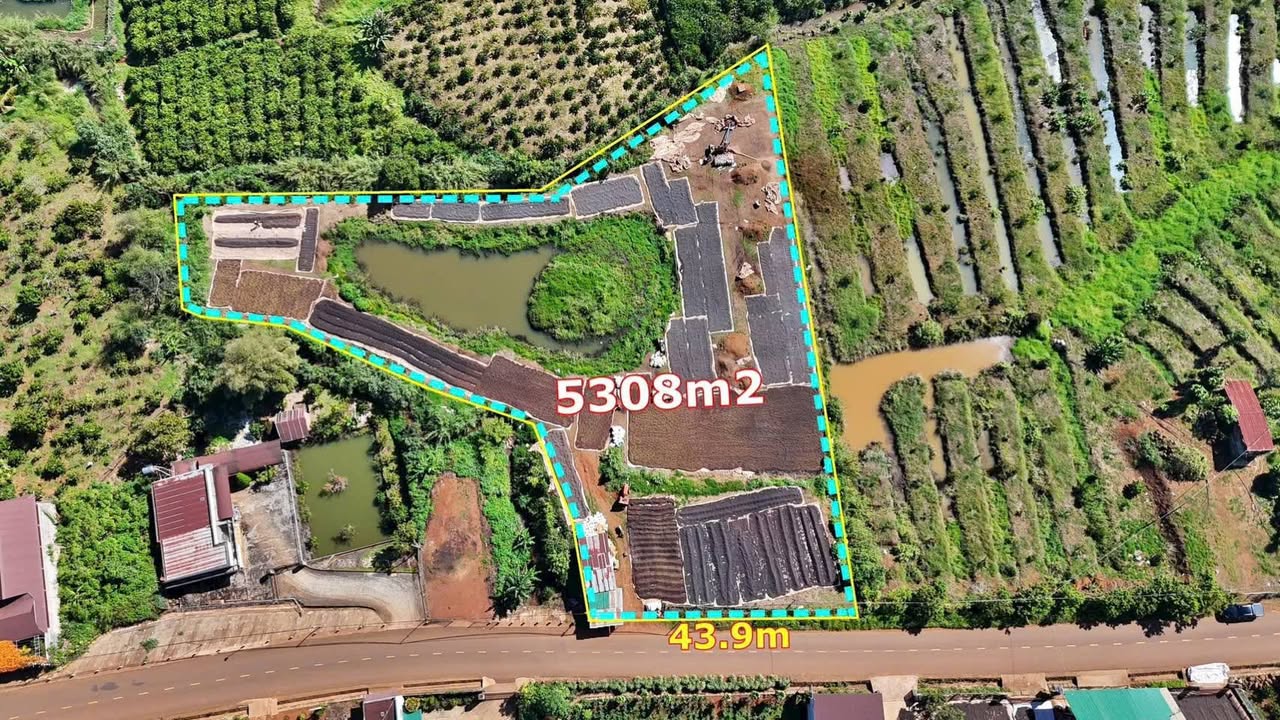 Đất thổ cư 5308m² tại Thôn 7, Tân Châu, Di Linh - Sổ đỏ chính chủ, giá thỏa thuận!