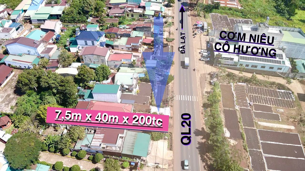 Đất thổ cư QL20 Huyện Di Linh 15000m² - Kinh doanh sầm uất, giá tốt!