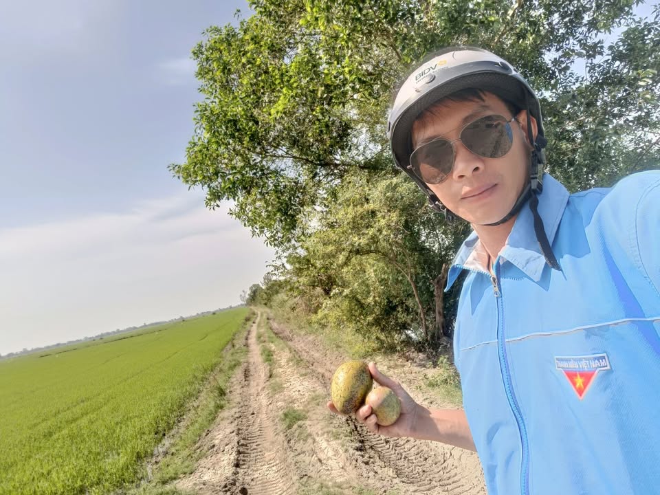 Đất nông nghiệp 8.6 công tại xã Thoại Sơn, giá chỉ 975 triệu - Đầu tư tiềm năng!