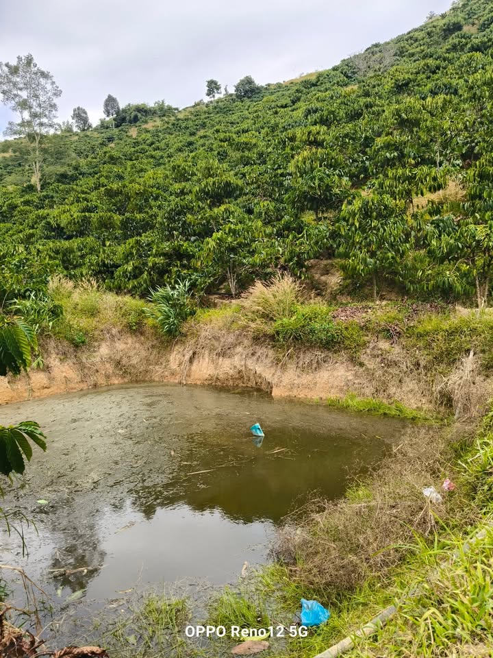 Đất nền 120.000m² tại Xã Rô Men, Huyện Đam Rông giá 1.35 tỷ - Cơ hội đầu tư tuyệt vời!